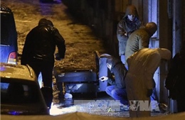 Bỉ bắt 13 nghi can khủng bố âm mưu giết hại cảnh sát 